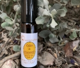1st Quality - Calm & Focused Essential Oil Roll-OnFor Kids Under 6 Years Old 1st Quality - Calm & Focused Essential Oil Roll-OnFor Kids Under 6 Years Old