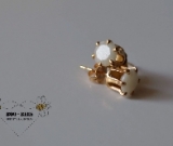Gold Enchantment Earrings (enamored collection) Gold Enchantment Earrings (enamored collection)