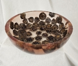Crazy (Nutty?) Burr Oak Acorn Bowl (9