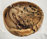 Spalted, Worm-holed, Maple Bowl (8-1/2